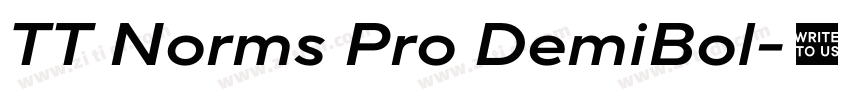TT Norms Pro DemiBol字体转换